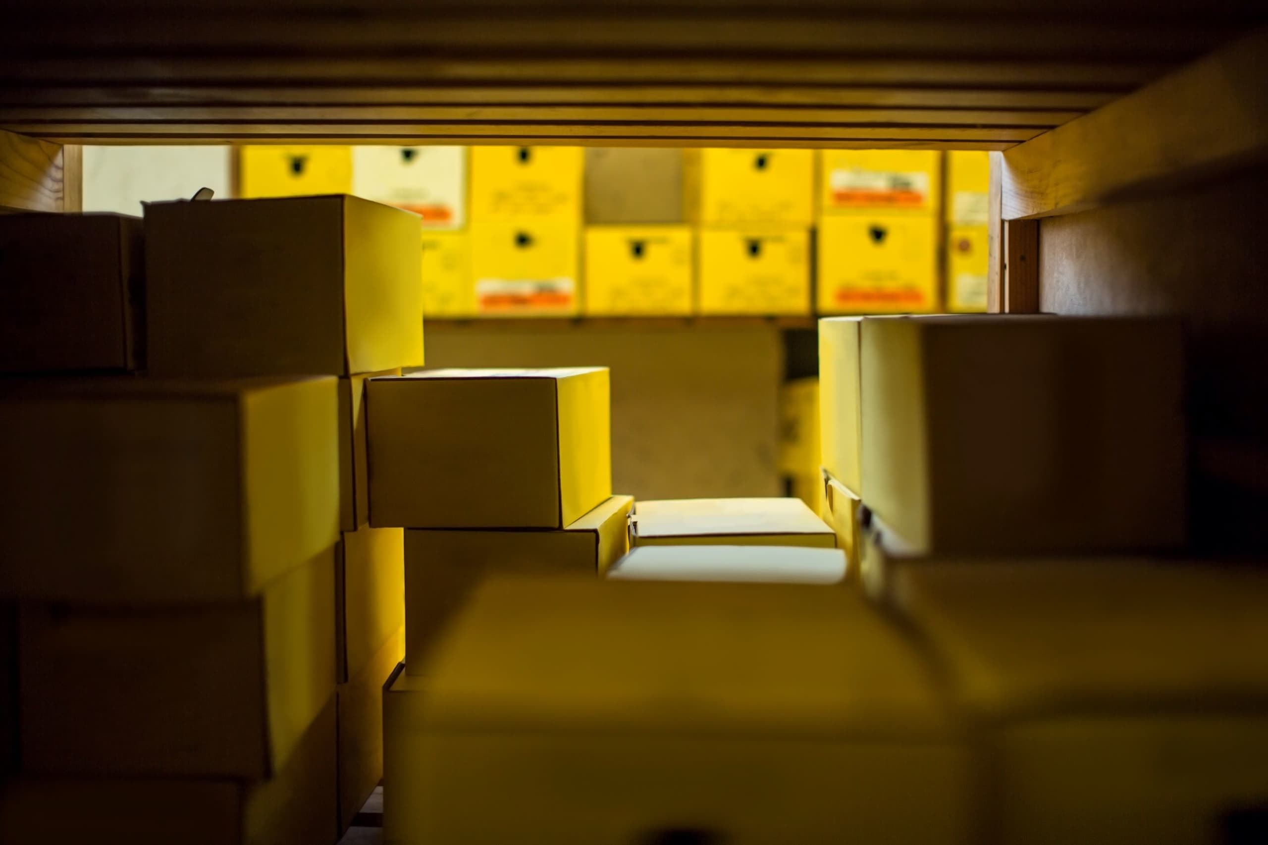 warehouse-with-shoe-boxes-2023-11-27-05-20-54-utc.jpg